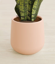 Load image into Gallery viewer, Gentle Pink stand:all