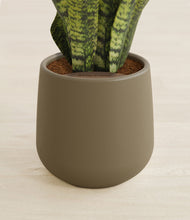 Load image into Gallery viewer, Olive stand:all