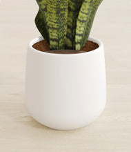 Load image into Gallery viewer, White stand:all