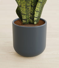 Load image into Gallery viewer, Iron Gray stand:all