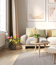 Load image into Gallery viewer, Forest Moss