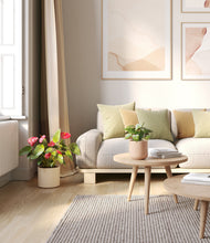 Load image into Gallery viewer, Rose Petal