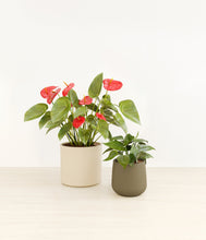 Load image into Gallery viewer, Mountain Ridge