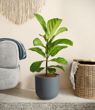 Load image into Gallery viewer, Iron Gray