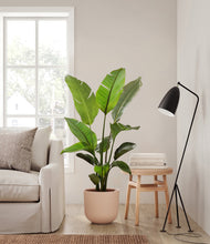 Load image into Gallery viewer, Sandy Pink