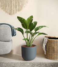 Load image into Gallery viewer, Iron Gray