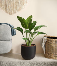 Load image into Gallery viewer, Stone Black