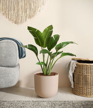 Load image into Gallery viewer, Sandy Pink