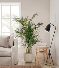 Load image into Gallery viewer, Natural Bamboo