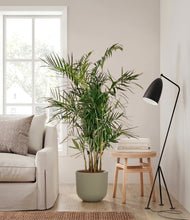 Load image into Gallery viewer, Sage Green