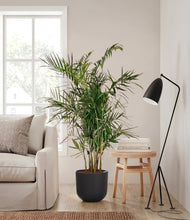 Load image into Gallery viewer, Stone Black