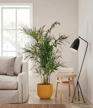 Load image into Gallery viewer, Sunset Orange