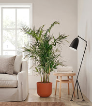 Load image into Gallery viewer, Earth Red