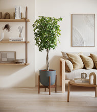 Load image into Gallery viewer, Iron Gray stand:walnut