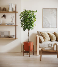 Load image into Gallery viewer, Earth Red stand:walnut