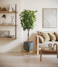 Load image into Gallery viewer, Iron Gray stand:bamboo