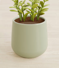 Load image into Gallery viewer, Turquoise stand:all
