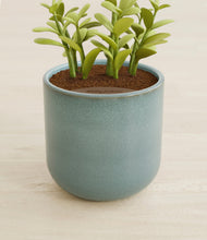 Load image into Gallery viewer, Reactive Aqua stand:all