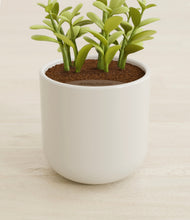 Load image into Gallery viewer, Cotton White stand:all