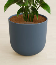 Load image into Gallery viewer, Iron Gray stand:all