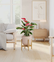 Load image into Gallery viewer, Sandy Pink stand:bamboo