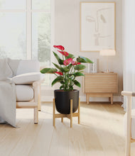 Load image into Gallery viewer, Stone Black stand:bamboo