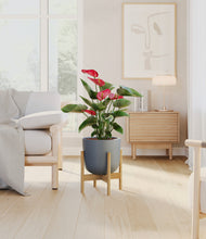 Load image into Gallery viewer, Iron Gray stand:bamboo