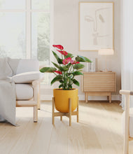 Load image into Gallery viewer, Sunset Orange stand:bamboo