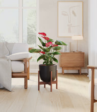 Load image into Gallery viewer, Stone Black stand:walnut
