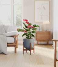 Load image into Gallery viewer, Iron Gray stand:walnut