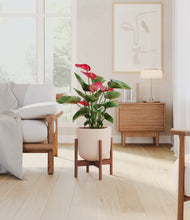 Load image into Gallery viewer, Sandy Pink stand:walnut
