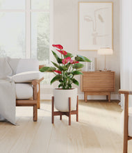Load image into Gallery viewer, Natural Bamboo stand:walnut