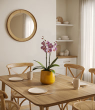 Load image into Gallery viewer, Mustard