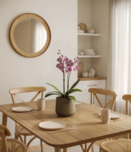 Load image into Gallery viewer, Olive