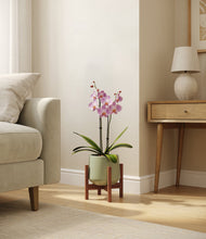 Load image into Gallery viewer, Turquoise stand:walnut