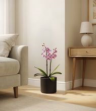 Load image into Gallery viewer, Black