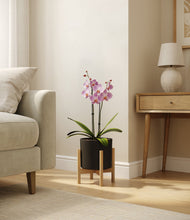 Load image into Gallery viewer, Black stand:bamboo