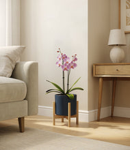 Load image into Gallery viewer, Deep Navy stand:bamboo