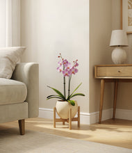 Load image into Gallery viewer, Shiny EggWhite stand:bamboo