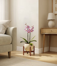 Load image into Gallery viewer, Shiny EggWhite stand:walnut