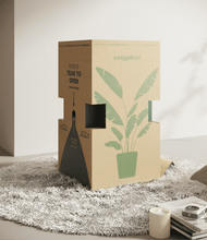 Load image into Gallery viewer, -