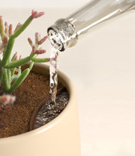 Load image into Gallery viewer, Almond Green stand:all