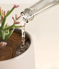 Load image into Gallery viewer, Eternal Gray stand:all