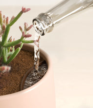 Load image into Gallery viewer, Gentle Pink stand:all