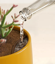 Load image into Gallery viewer, Mustard stand:all