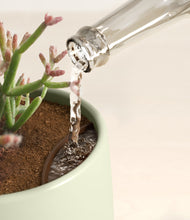 Load image into Gallery viewer, Turquoise stand:all