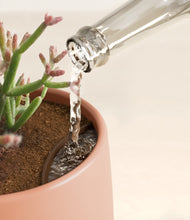 Load image into Gallery viewer, Calm Rose stand:all