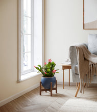 Load image into Gallery viewer, -