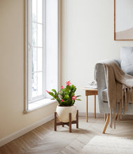 Load image into Gallery viewer, -