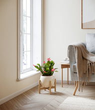 Load image into Gallery viewer, -